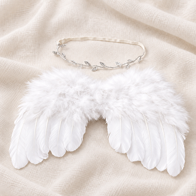the_white_wings_of_the_angel